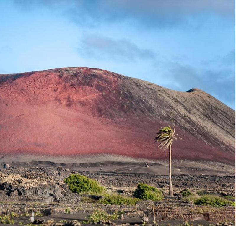 Lanzarote Casa Volcanica-Anclada Sobre La Lava Del Volcan Montana Blanca Eksteriør billede