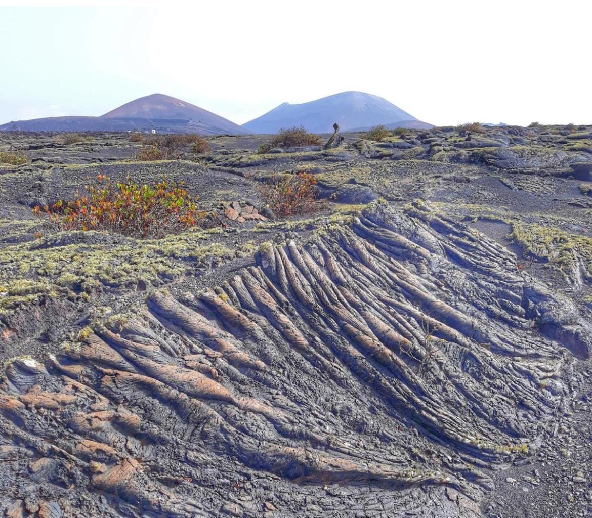 Lanzarote Casa Volcanica-Anclada Sobre La Lava Del Volcan Montana Blanca Eksteriør billede